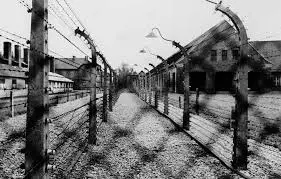 Un jour à Auschwitz