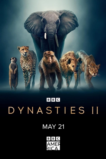 DYNASTIES ANIMALES - ELÉPHANTS