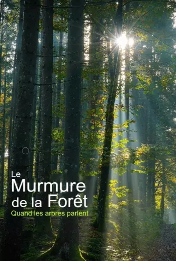 Le murmure de la forêt Quand les arbres parlent