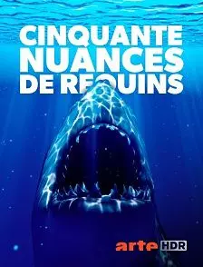 CINQUANTE NUANCES DE REQUINS