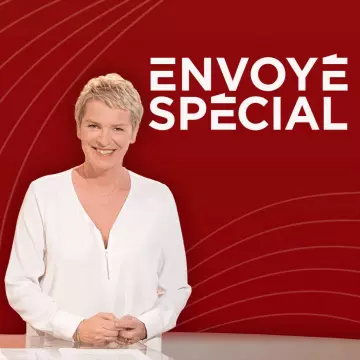 Envoyé spécial - spéciale Ukraine