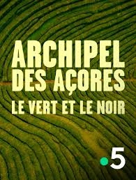 ARCHIPEL DES AÇORES - LE VERT ET LE NOIR