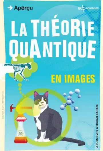 LA THÉORIE QUANTIQUE EN IMAGES  [Livres]