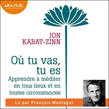 Où tu vas, tu es Jon Kabat-Zinn  [AudioBooks]