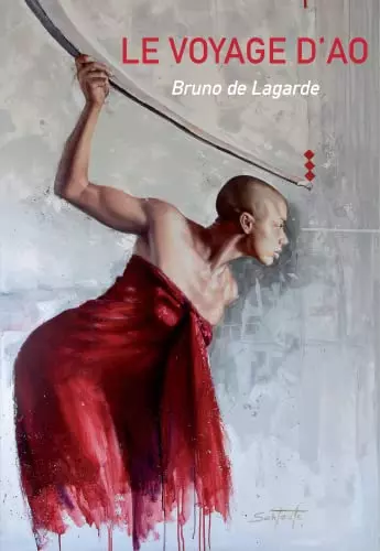 Le voyage d'Ao - Bruno de Lagarde [Livres]