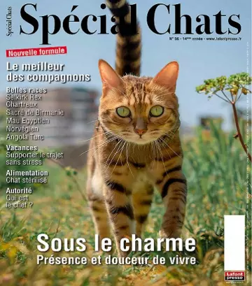 Spécial Chats N°56 – Juillet-Septembre 2022 [Magazines]