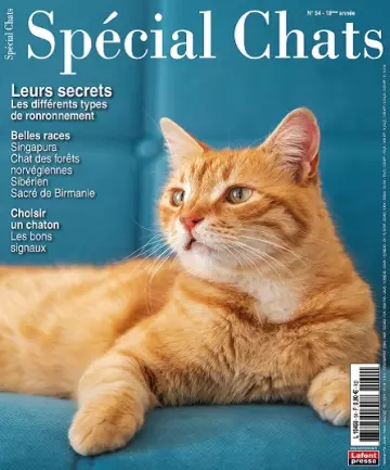 Spécial Chats N°54 – Janvier-Mars 2022 [Magazines]