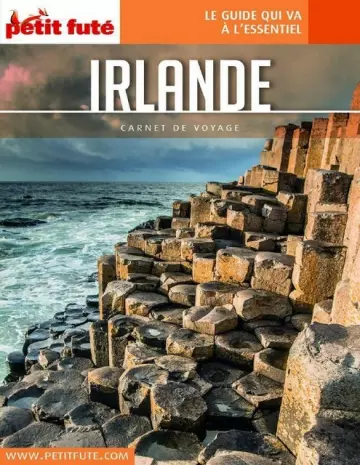 Petit Futé - Carnet de Voyage - Irlande 2020  [Livres]