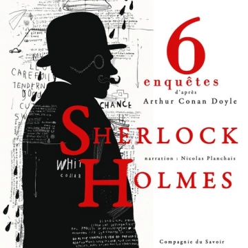 6 nouvelles enquêtes de Sherlock Holmes et du Dr Watson - Arthur Conan Doyle [AudioBooks]