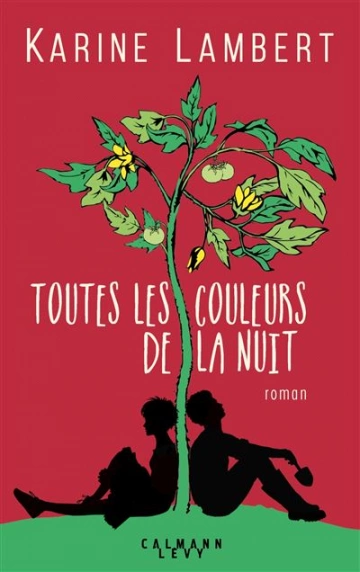 Toutes les couleurs de la nuit - Karine Lambert  [Livres]