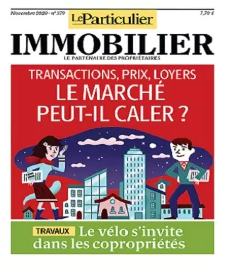 Le Particulier Immobilier N°379 – Novembre 2020 [Magazines]