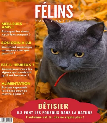 Félins Pour L’autre N°15 – Octobre 2022 [Magazines]