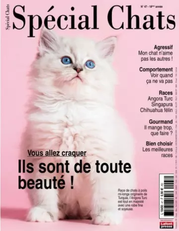 Spécial Chats - Février-Avril 2020 [Magazines]