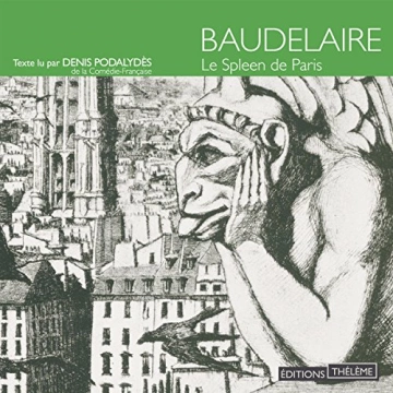 Le Spleen de Paris  Baudelaire [AudioBooks]