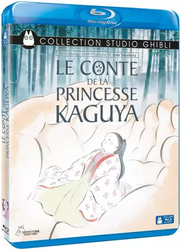 Le Conte de la princesse Kaguya  [BLU-RAY 1080p] - MULTI (FRENCH)