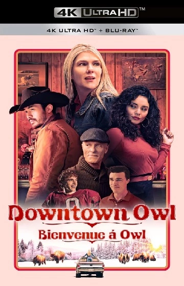 Downtown Owl  [WEB-DL 4K] - MULTI (FRENCH)