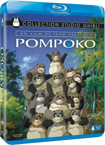 Pompoko  [HDLIGHT 1080p] - MULTI (FRENCH)