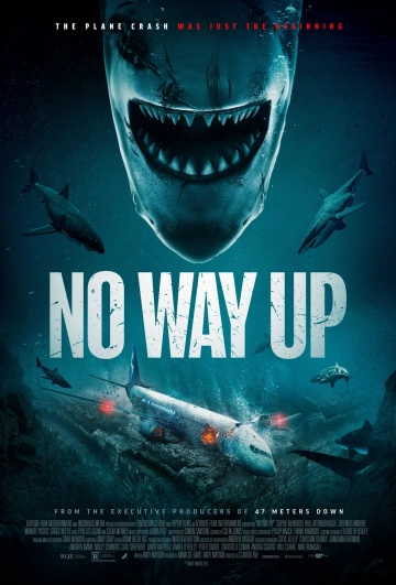 No Way Up  [WEB-DL 1080p] - MULTI (FRENCH)