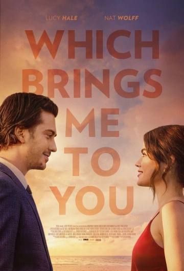 Which Brings Me to You  [HDRIP] - TRUEFRENCH