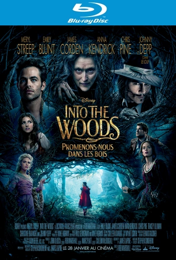 Into the Woods, Promenons-nous dans les bois  [HDLIGHT 1080p] - MULTI (TRUEFRENCH)