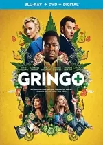 Gringo  [WEB-DL 1080p] - VO