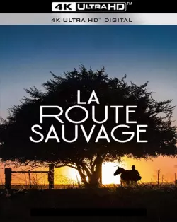 La Route sauvage (Lean on Pete)  [WEB-DL 4K] - MULTI (FRENCH)