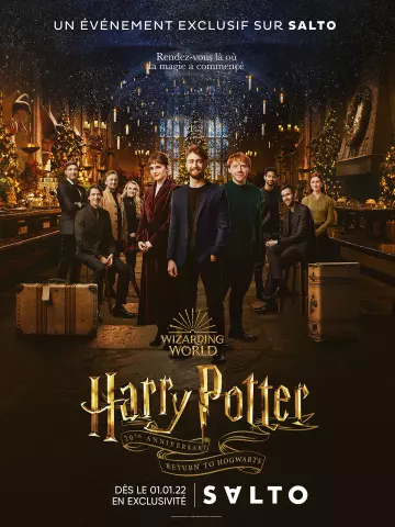 Harry Potter : Retour à Poudlard  [WEB-DL 1080p] - MULTI (FRENCH)