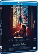 Wonder Wheel  [HDLIGHT 1080p] - FRENCH