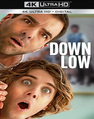 Down Low  [WEB-DL 4K] - MULTI (FRENCH)