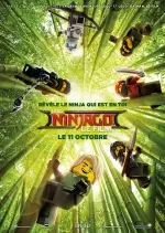 LEGO Ninjago : Le Film  [BDRIP] - TRUEFRENCH