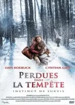 Perdues Dans La Tempête  [Dvdrip XviD] - FRENCH