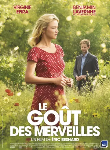 Le goût des merveilles  [BDRIP] - FRENCH