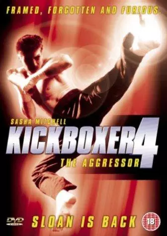 Kickboxer 4  [TVRIP] - FRENCH