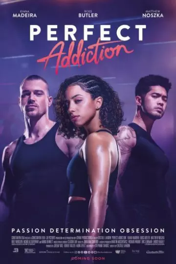 Perfect Addiction  [HDRIP] - FRENCH