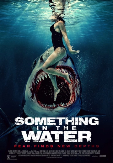 Something In The Water [WEBRIP 720p] - FRENCH