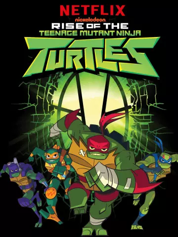 Le Destin des Tortues Ninja : Le film [HDRIP] - FRENCH