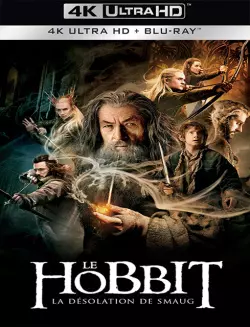 Le Hobbit : la Désolation de Smaug  [4K LIGHT] - MULTI (FRENCH)