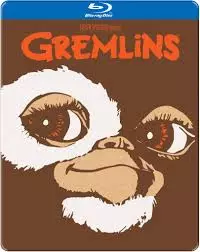 Gremlins [HDLIGHT 1080p] - FRENCH