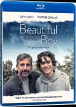 My beautiful boy [BLU-RAY 720p] - FRENCH