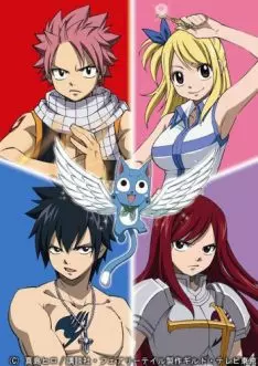 Fairy Tail - Saison 1 - vf