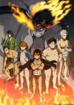 Hinomaru Sumo - Saison 1 - vostfr