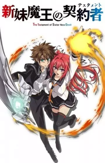 The Testament of Sister New Devil OAV - Saison 1 - vostfr