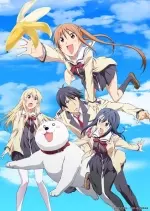 Aho Girl - vostfr