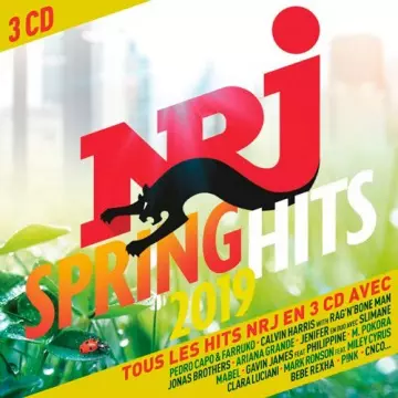 NRJ Spring Hits 2019  [Albums]