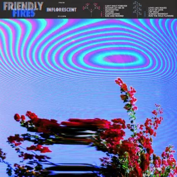 Friendly Fires - Inflorescent  [Albums]