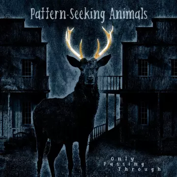 Pattern-Seeking Animals - Only Passing Through  [Albums]