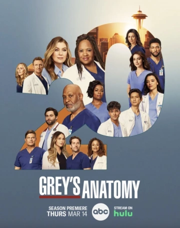 Grey's Anatomy - Saison 20 - vf-hq