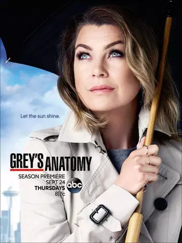 Grey's Anatomy - Saison 12 - VF